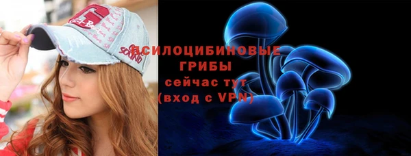 ПСИЛОЦИБИНОВЫЕ ГРИБЫ Алексин