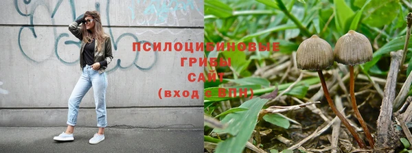 тгк Алексеевка
