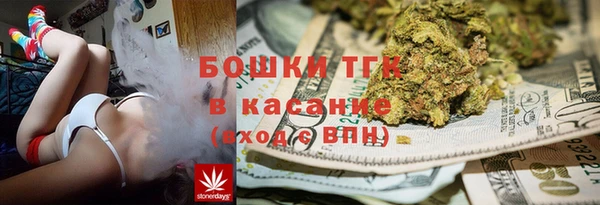 ПСИЛОЦИБИНОВЫЕ ГРИБЫ Алексин